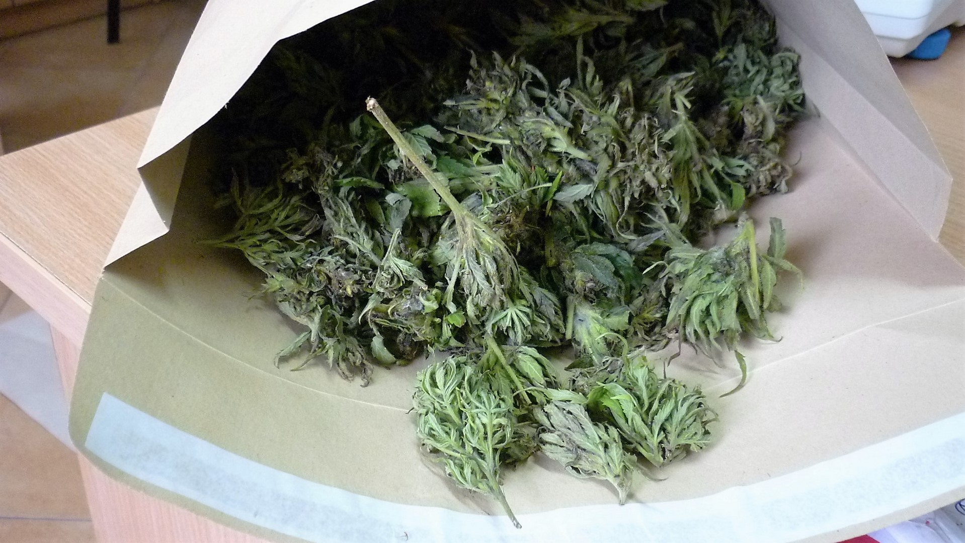Ełk: Ponad 3,5 kg marihuany nie trafi na rynek. Policjanci zatrzymali 22-latka