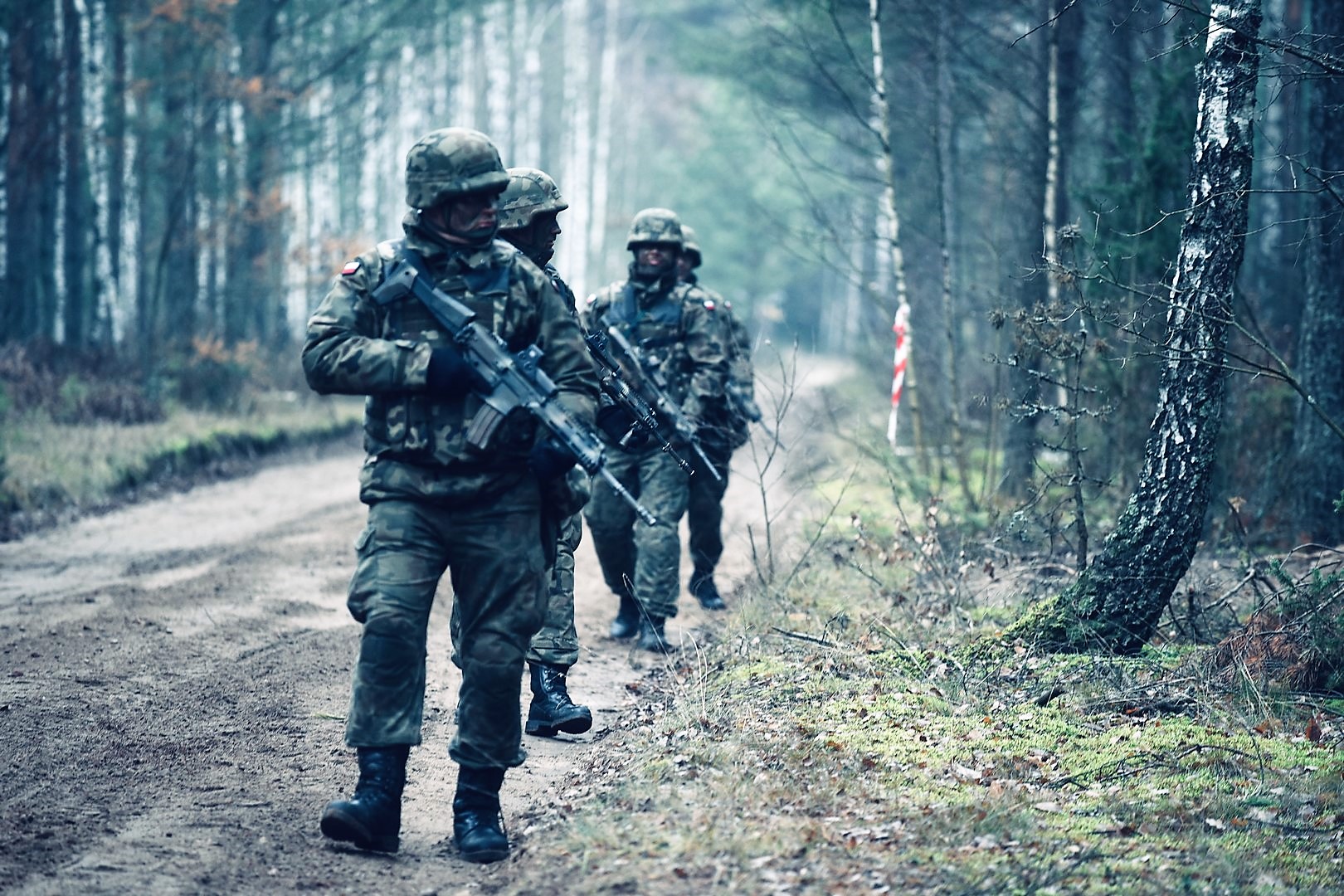 Terytorialsi z Warmii i Mazur na ćwiczeniach ANAKONDA-18