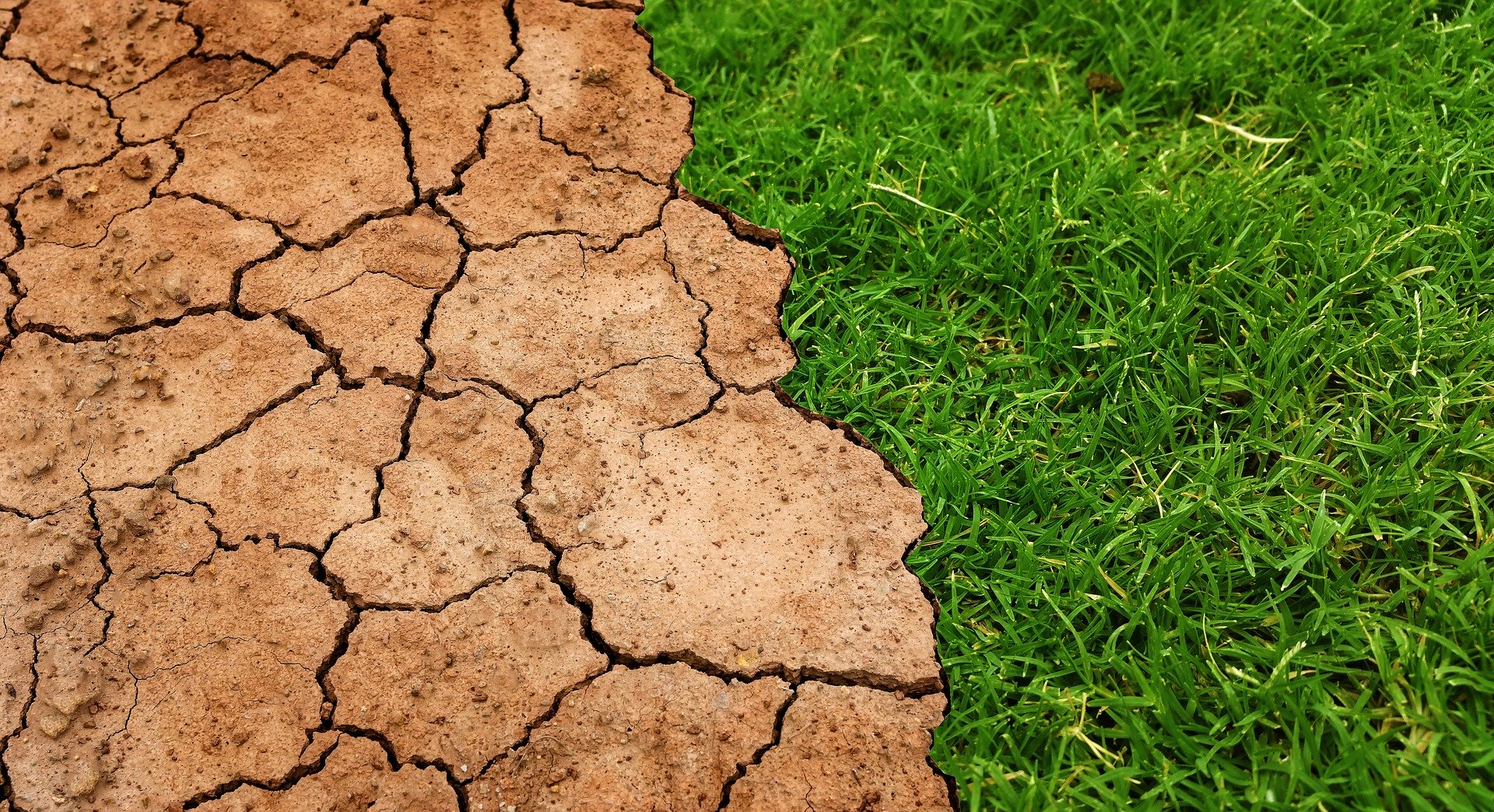 Światowy Dzień Ziemi. Każdy z nas może zadbać o środowisko naturalne