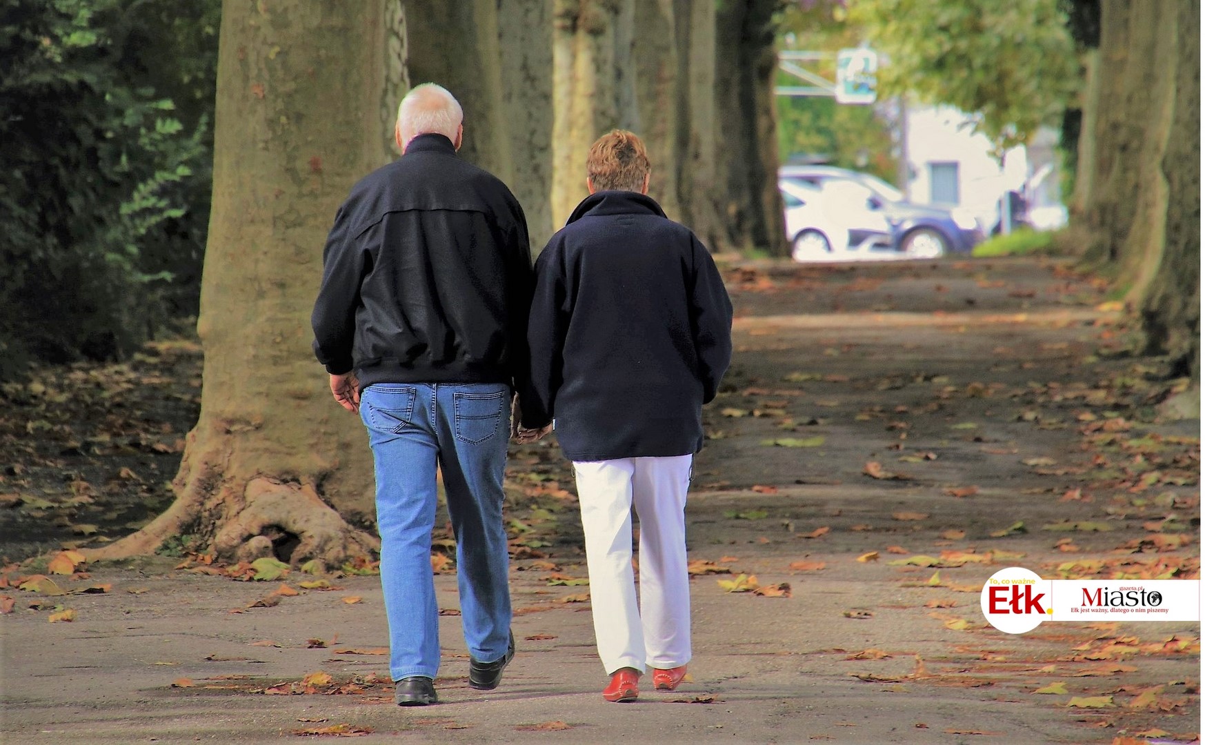 Seniorzy przekazali gotówkę oszustowi, myśląc, że pomagają córce po wypadku