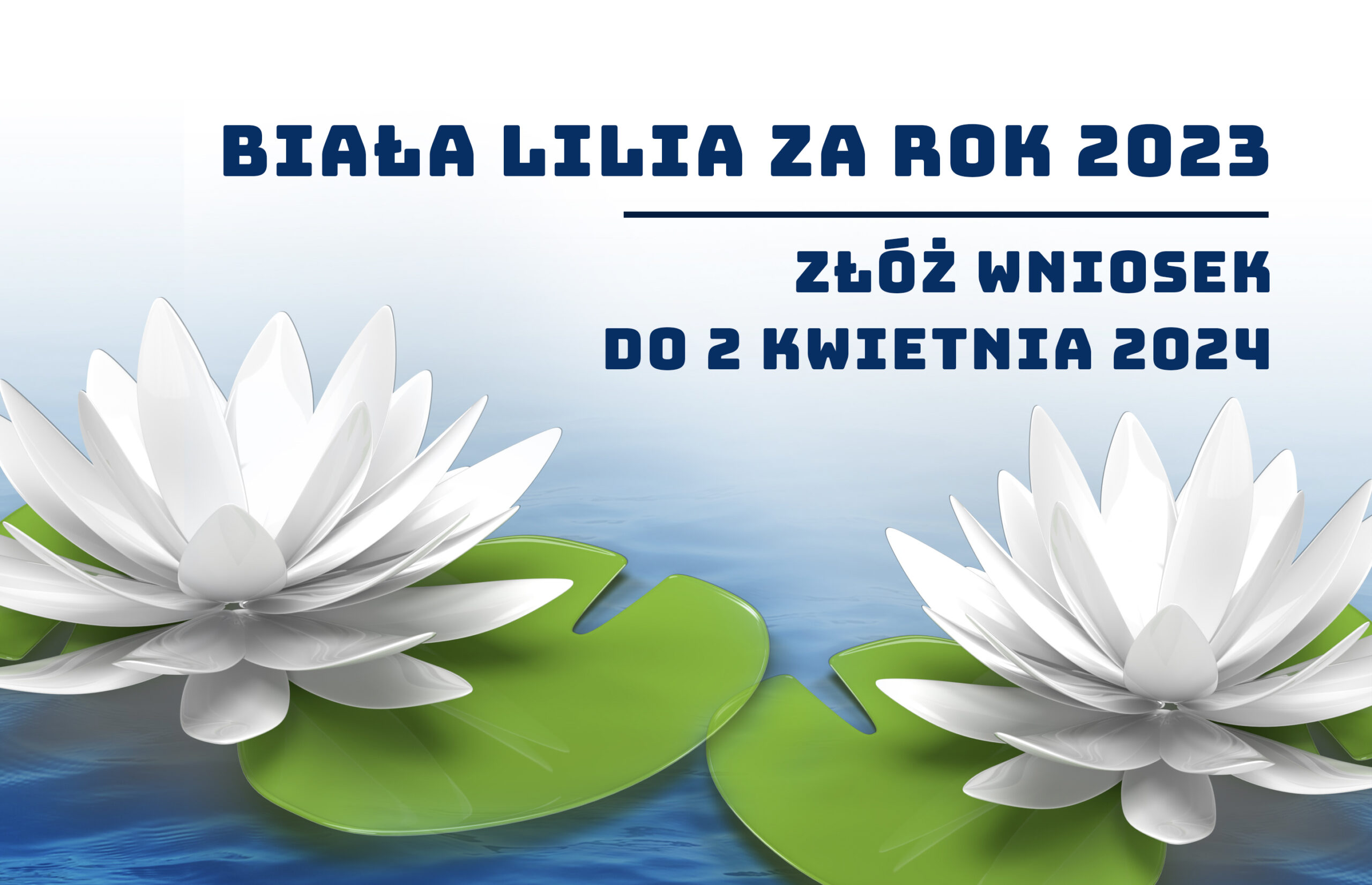 Nabór wniosków na nagrodę „Białej Lilii” za 2023 rok